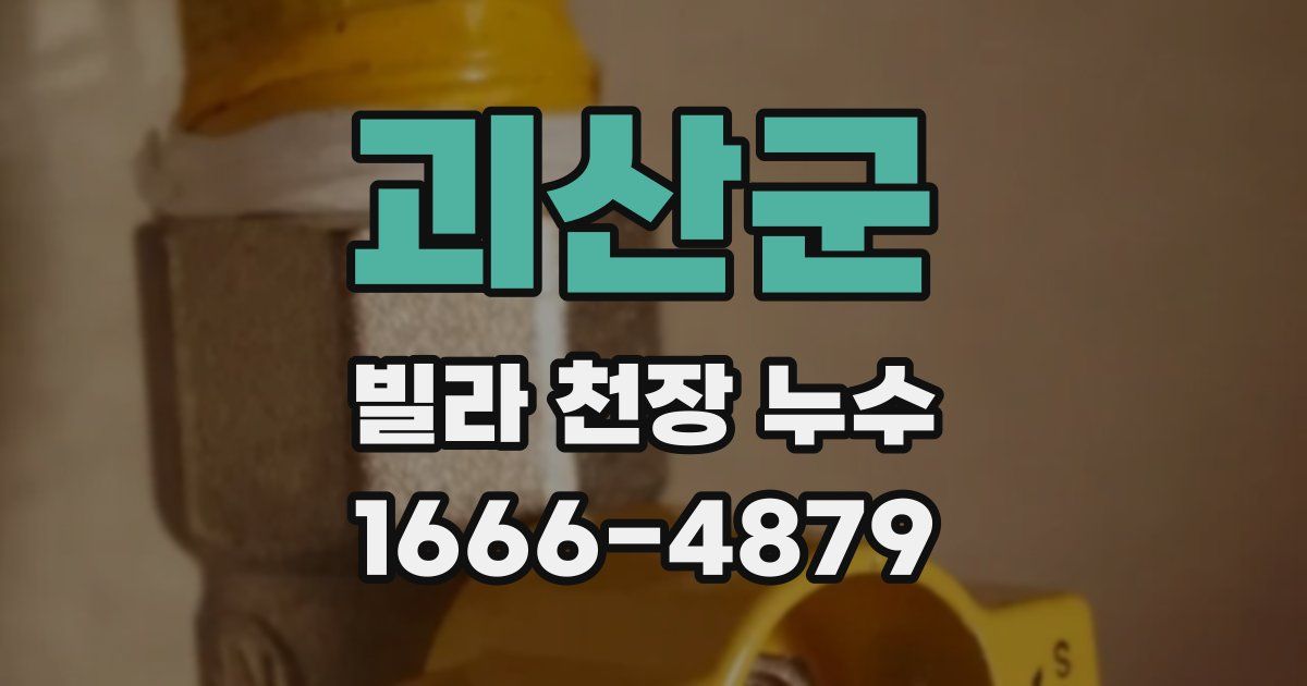 괴산군 빌라 천장 누수