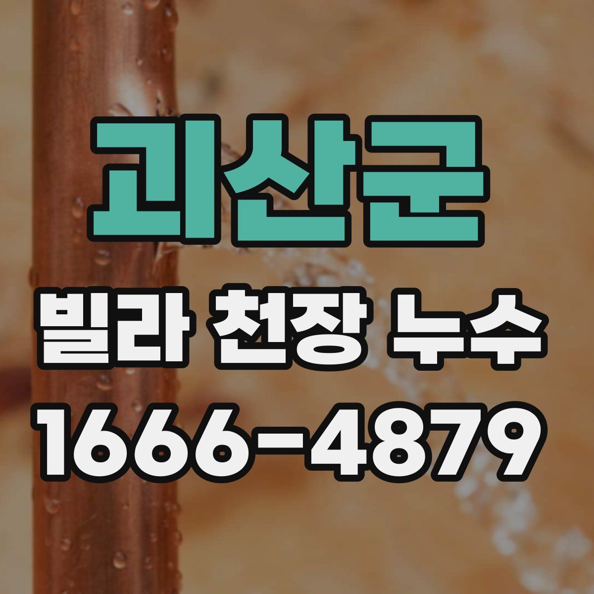 괴산군 빌라 천장 누수