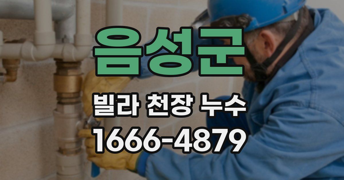 음성군 빌라 천장 누수
