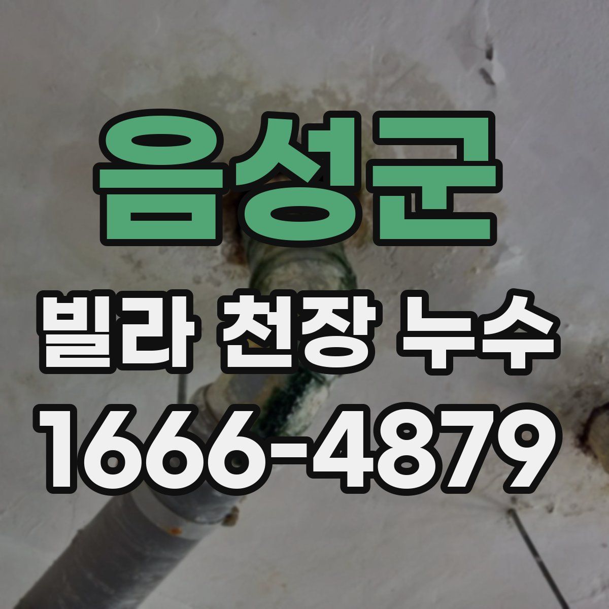 음성군 빌라 천장 누수