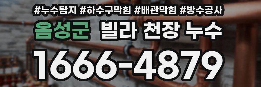 음성군 빌라 천장 누수
