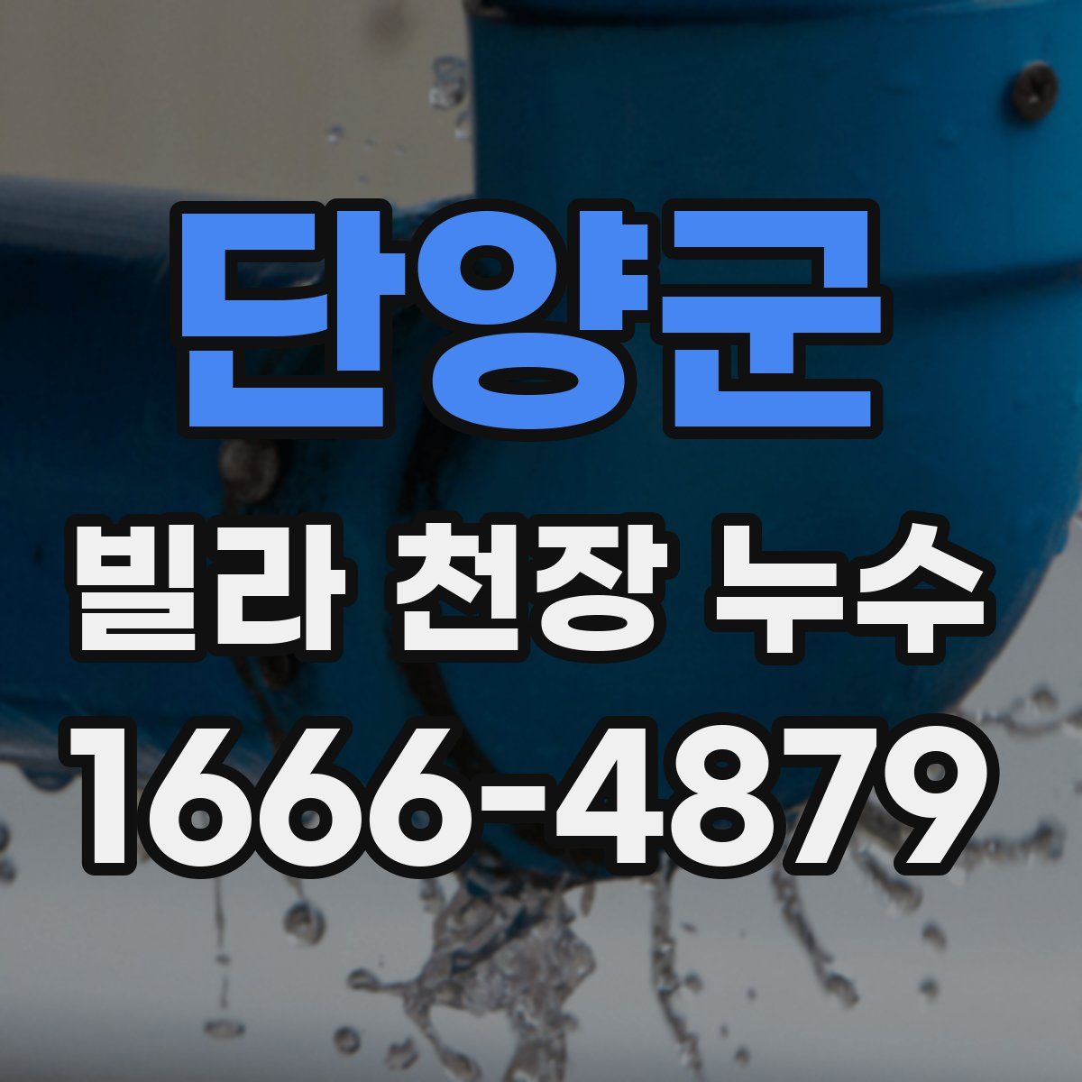 단양군 빌라 천장 누수