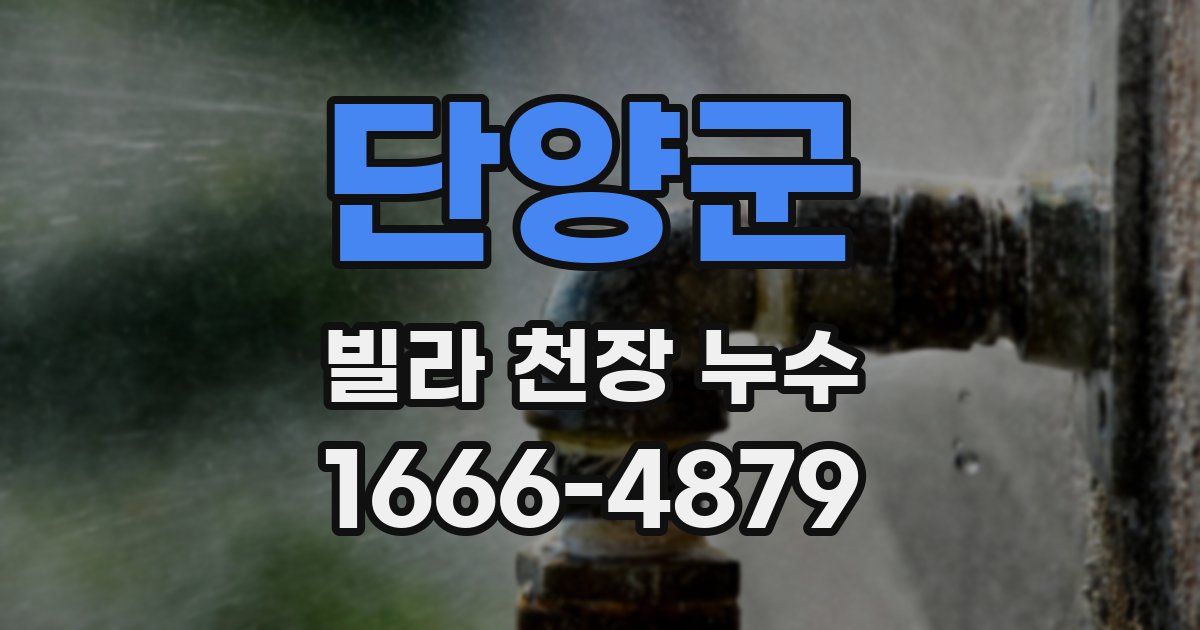 단양군 빌라 천장 누수
