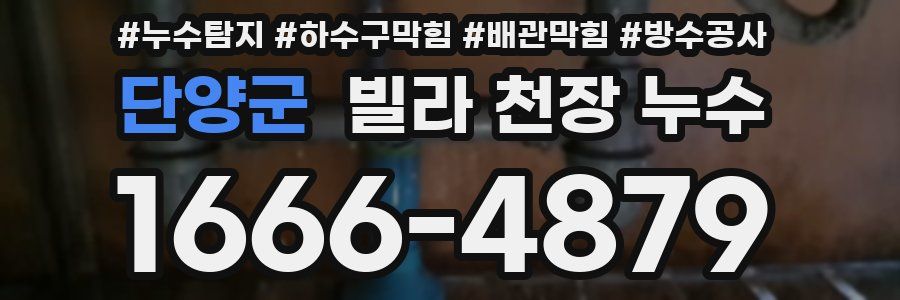 단양군 빌라 천장 누수