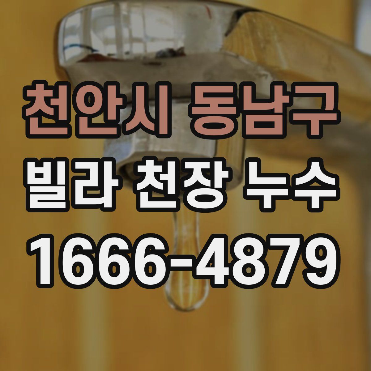 천안시 동남구 빌라 천장 누수