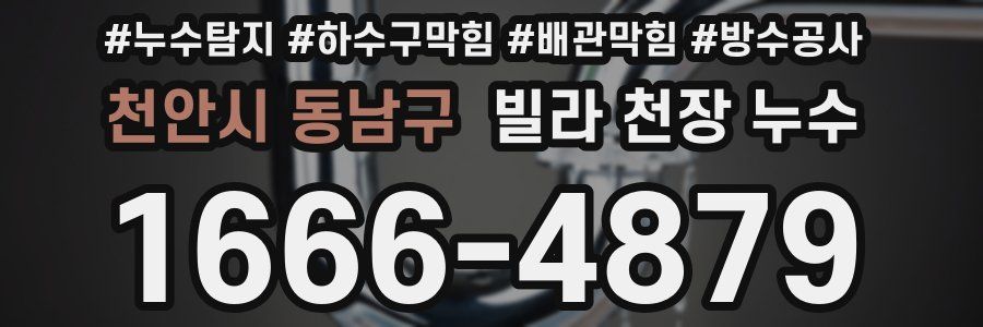 천안시 동남구 빌라 천장 누수