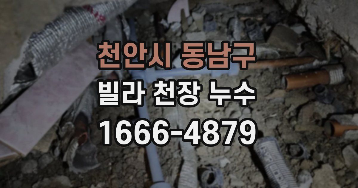 천안시 동남구 빌라 천장 누수