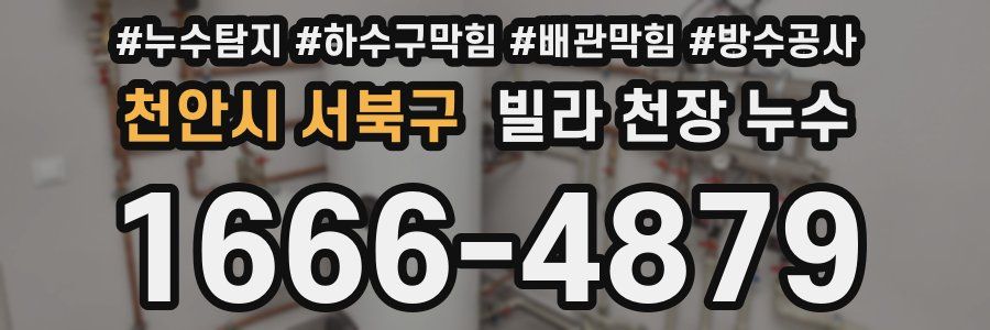 천안시 서북구 빌라 천장 누수