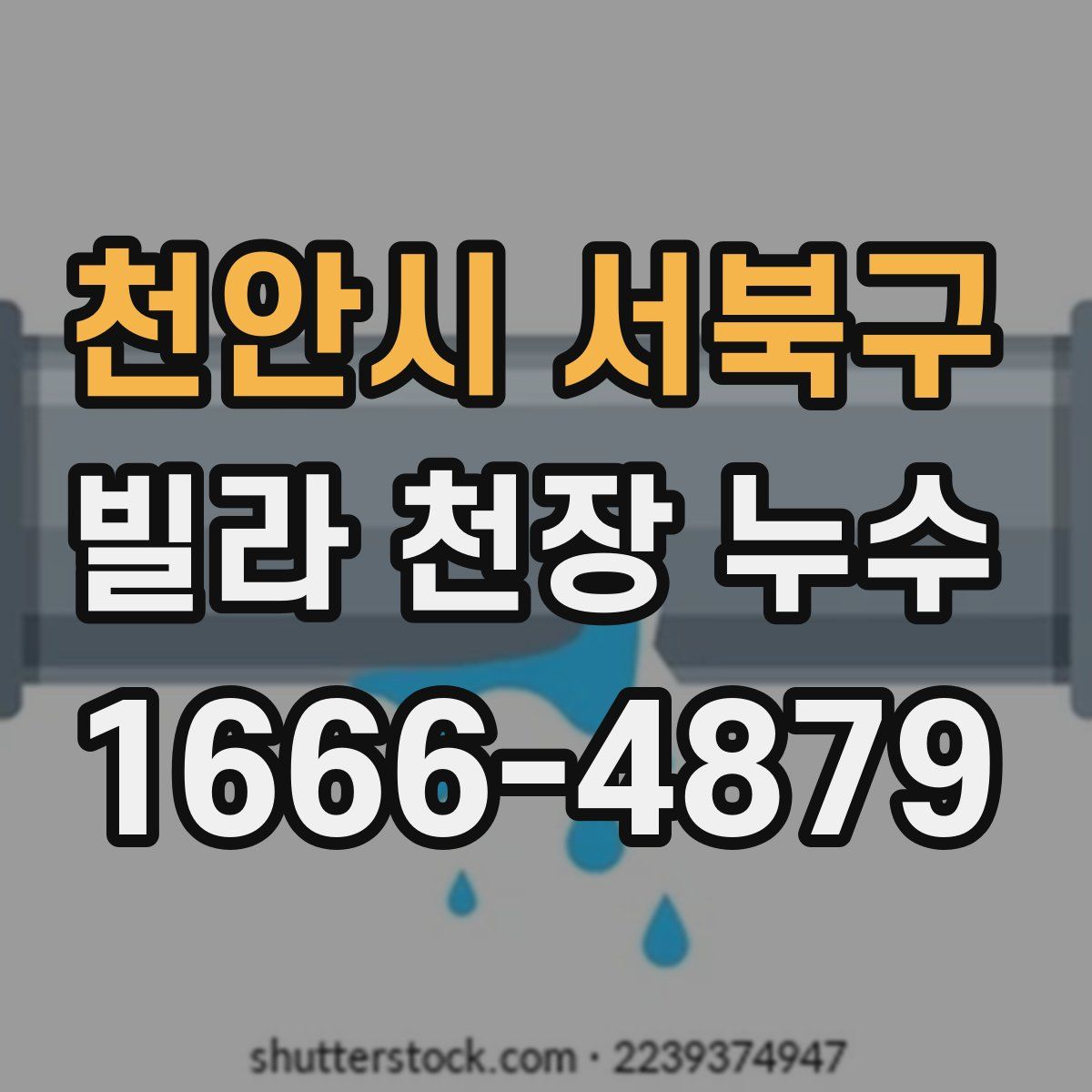 천안시 서북구 빌라 천장 누수