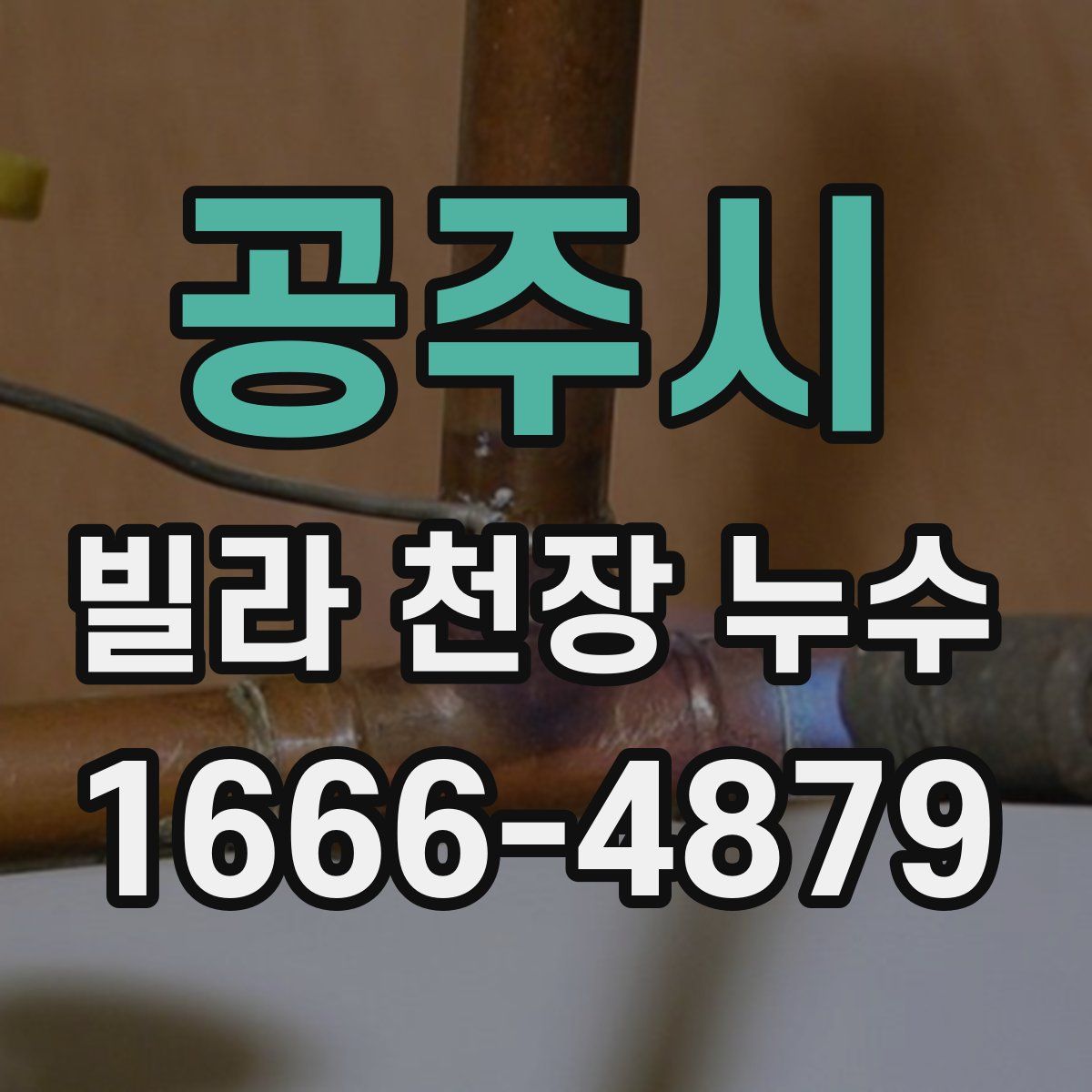 공주시 빌라 천장 누수