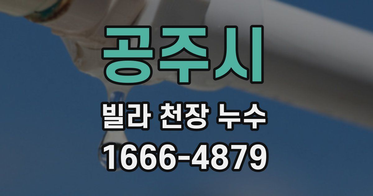 공주시 빌라 천장 누수