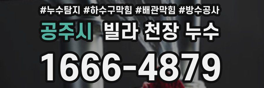 공주시 빌라 천장 누수