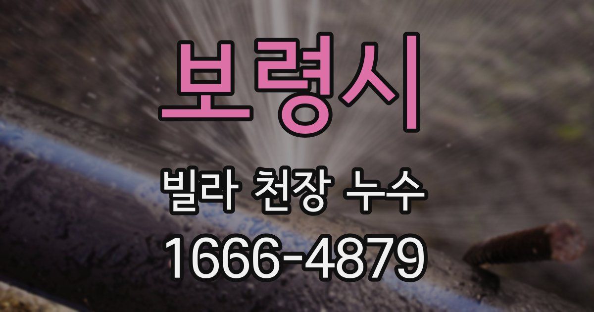 보령시 빌라 천장 누수