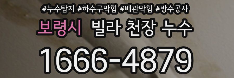 보령시 빌라 천장 누수