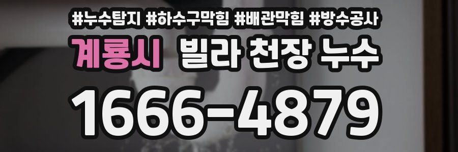 계룡시 빌라 천장 누수