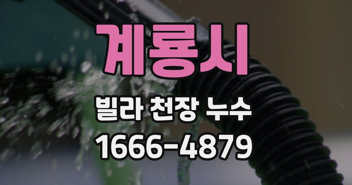 계룡시 빌라 천장 누수