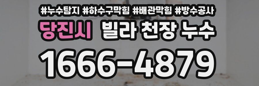 당진시 빌라 천장 누수