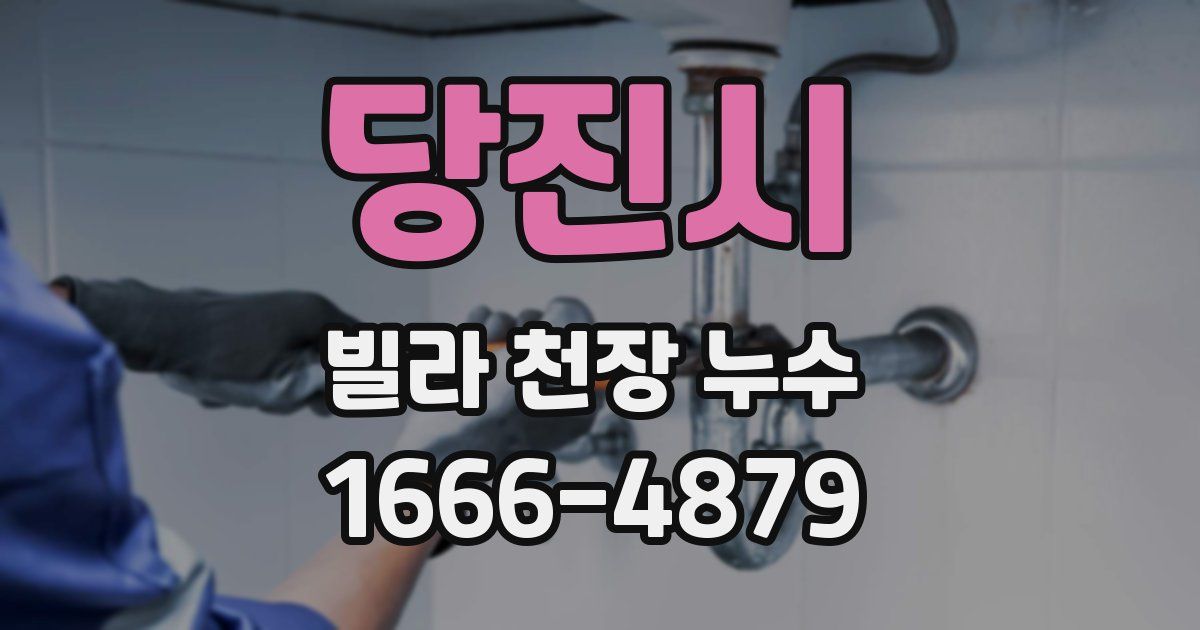 당진시 빌라 천장 누수