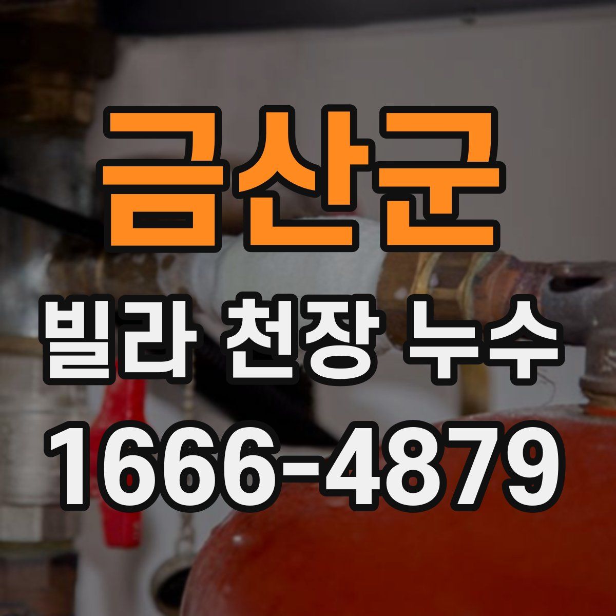 금산군 빌라 천장 누수