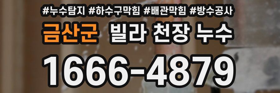 금산군 빌라 천장 누수