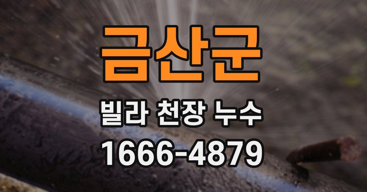 금산군 빌라 천장 누수