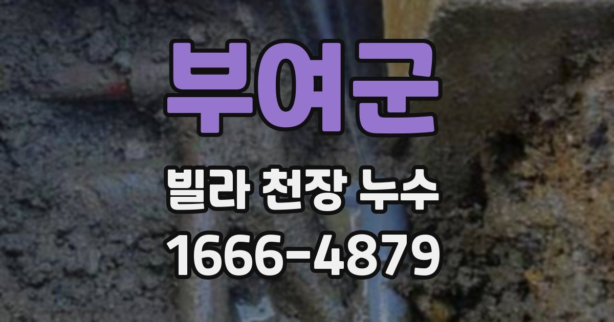 부여군 빌라 천장 누수