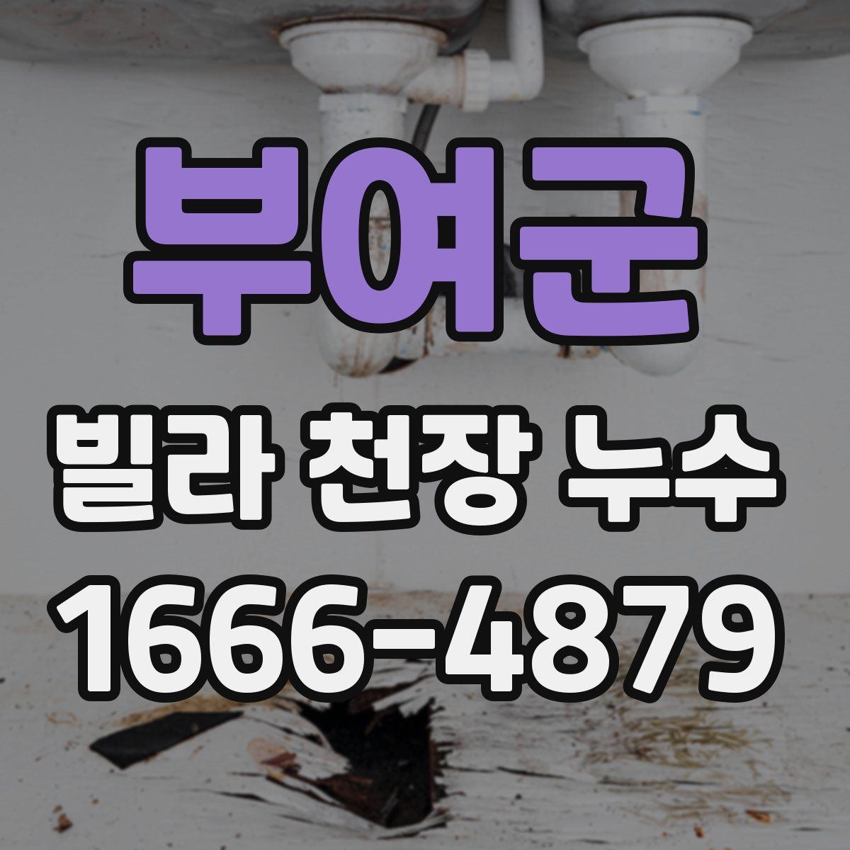 부여군 빌라 천장 누수