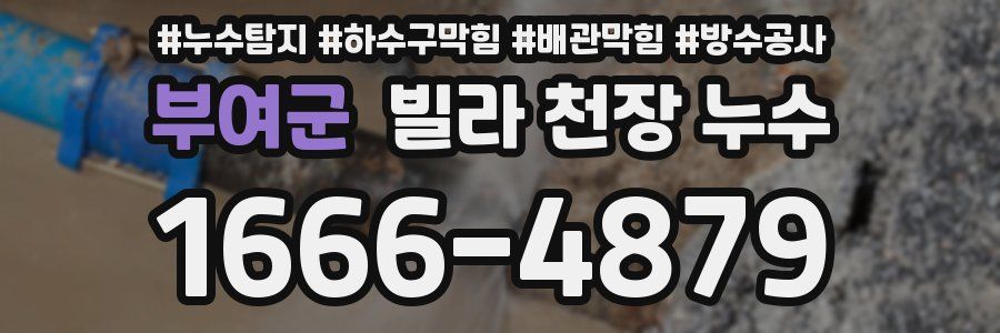 부여군 빌라 천장 누수