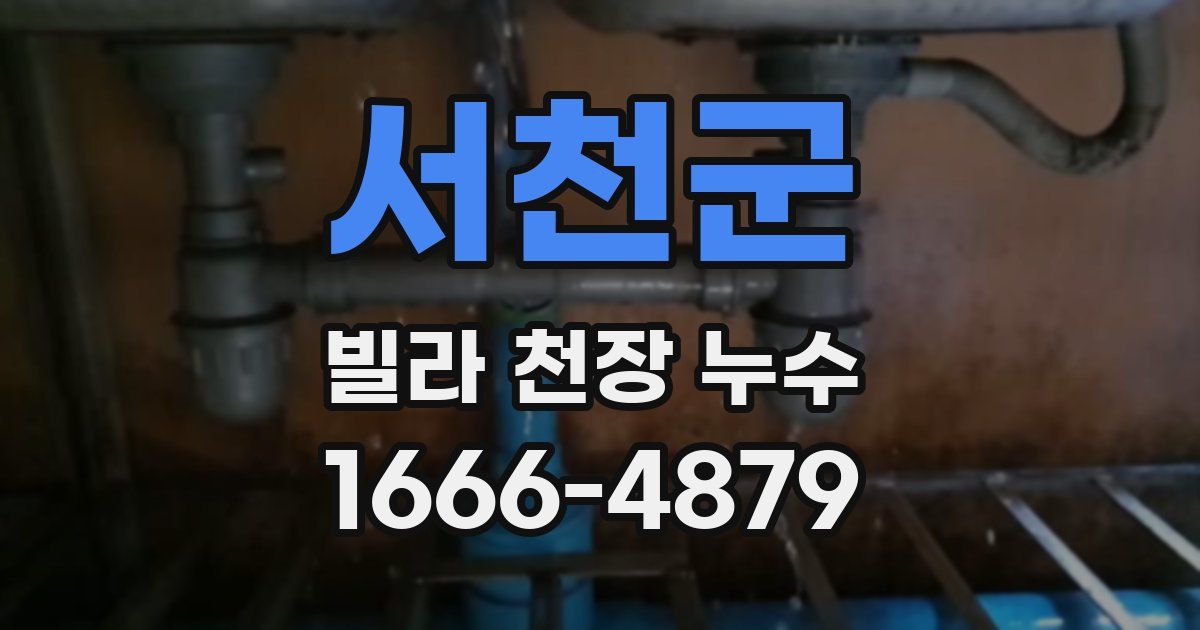 서천군 빌라 천장 누수