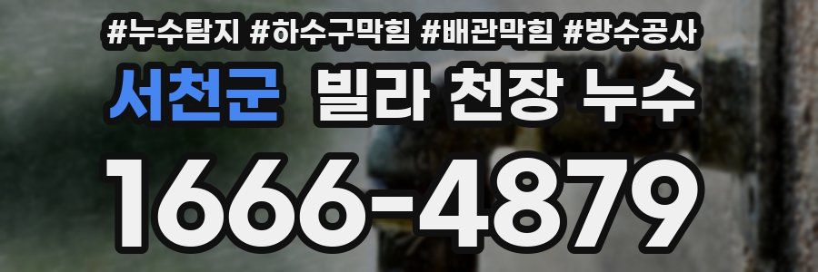 서천군 빌라 천장 누수