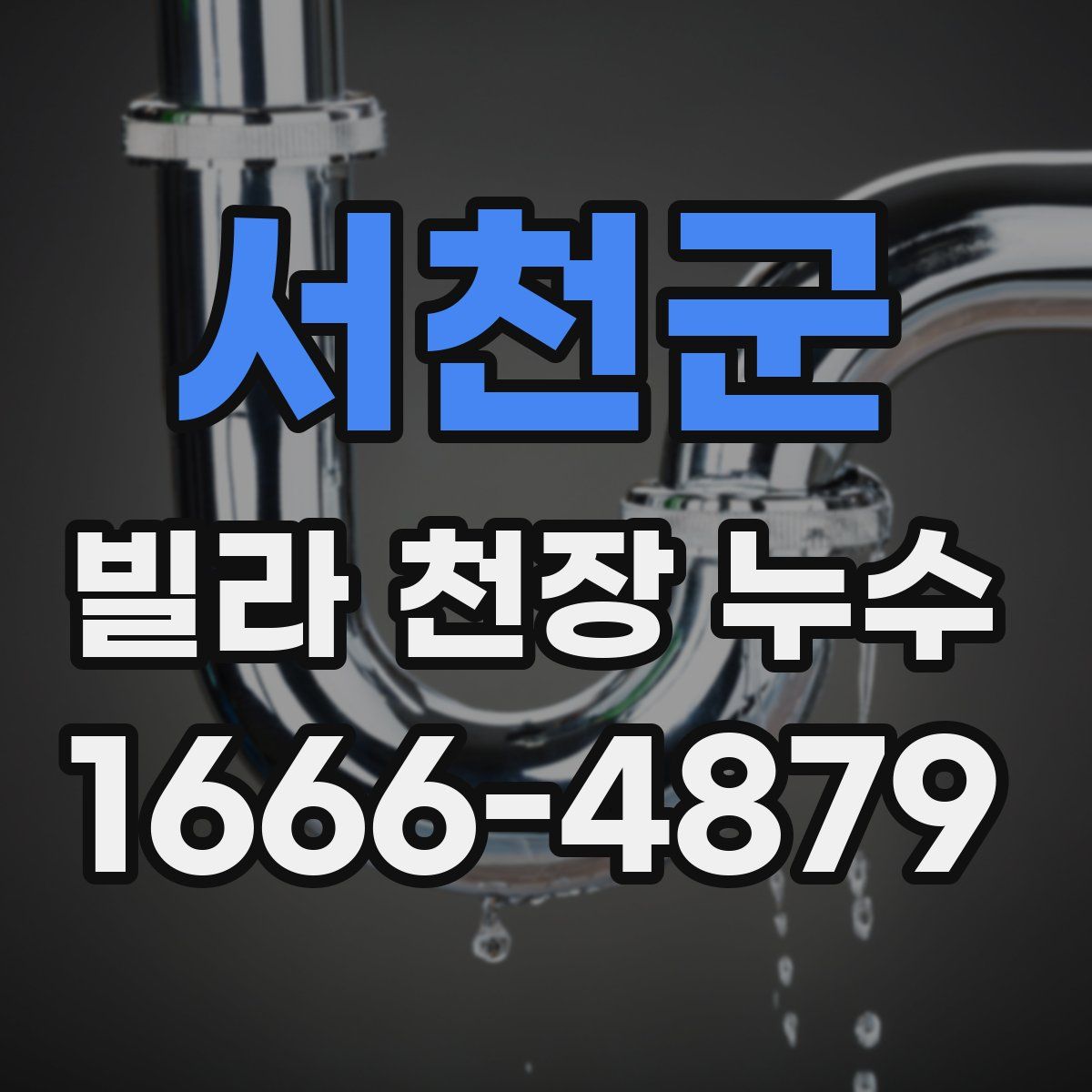 서천군 빌라 천장 누수