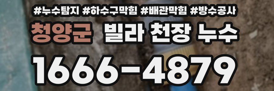 청양군 빌라 천장 누수