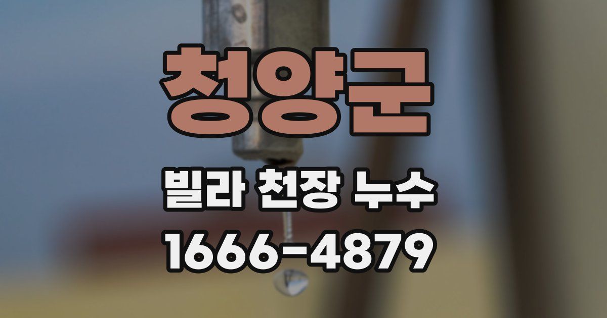 청양군 빌라 천장 누수