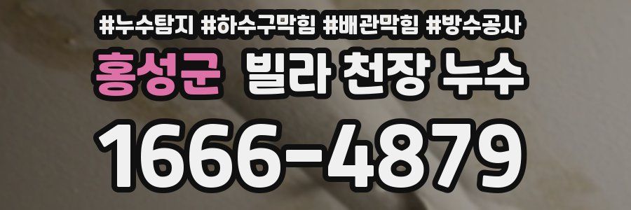 홍성군 빌라 천장 누수