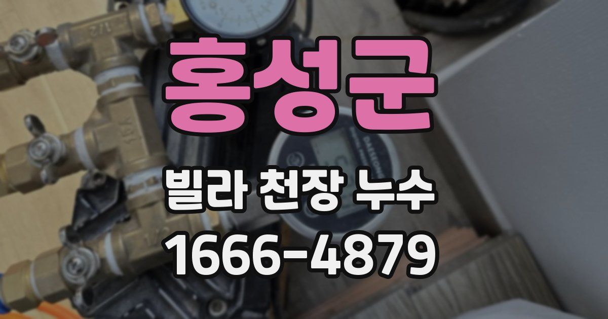 홍성군 빌라 천장 누수