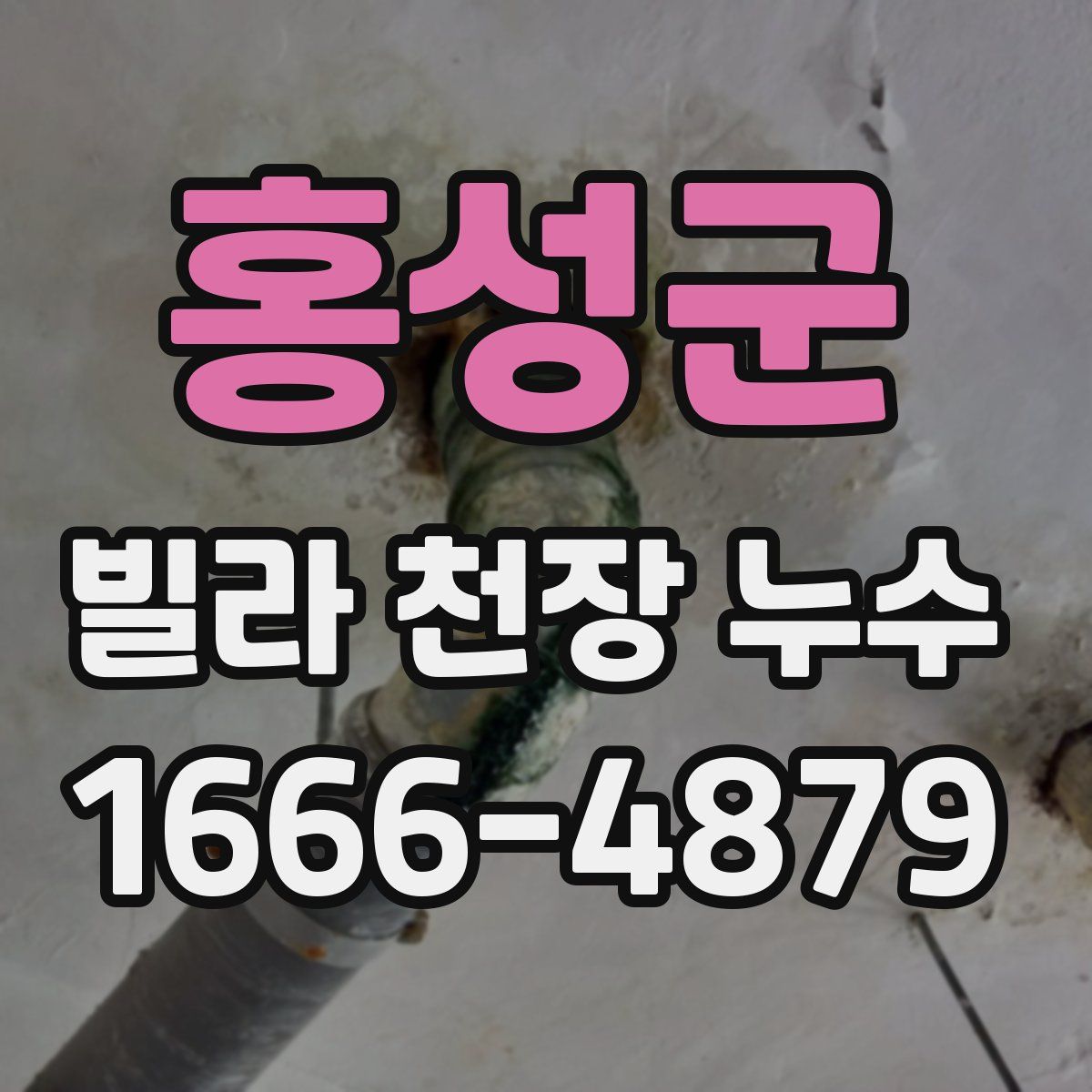 홍성군 빌라 천장 누수