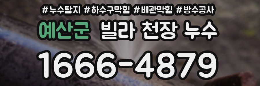 예산군 빌라 천장 누수