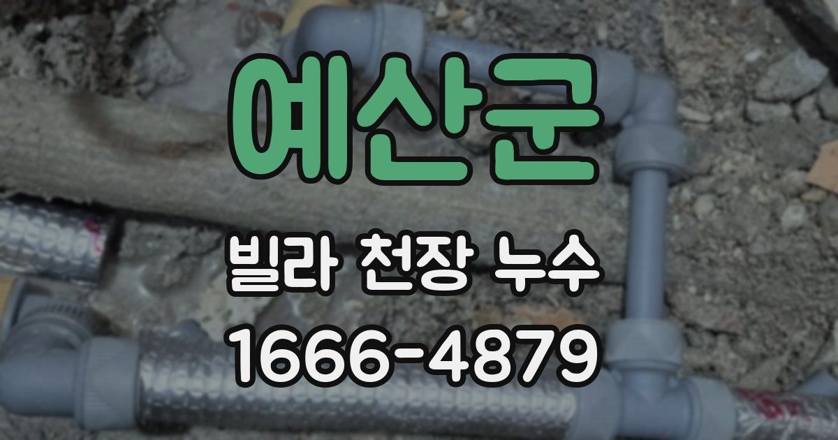 예산군 빌라 천장 누수
