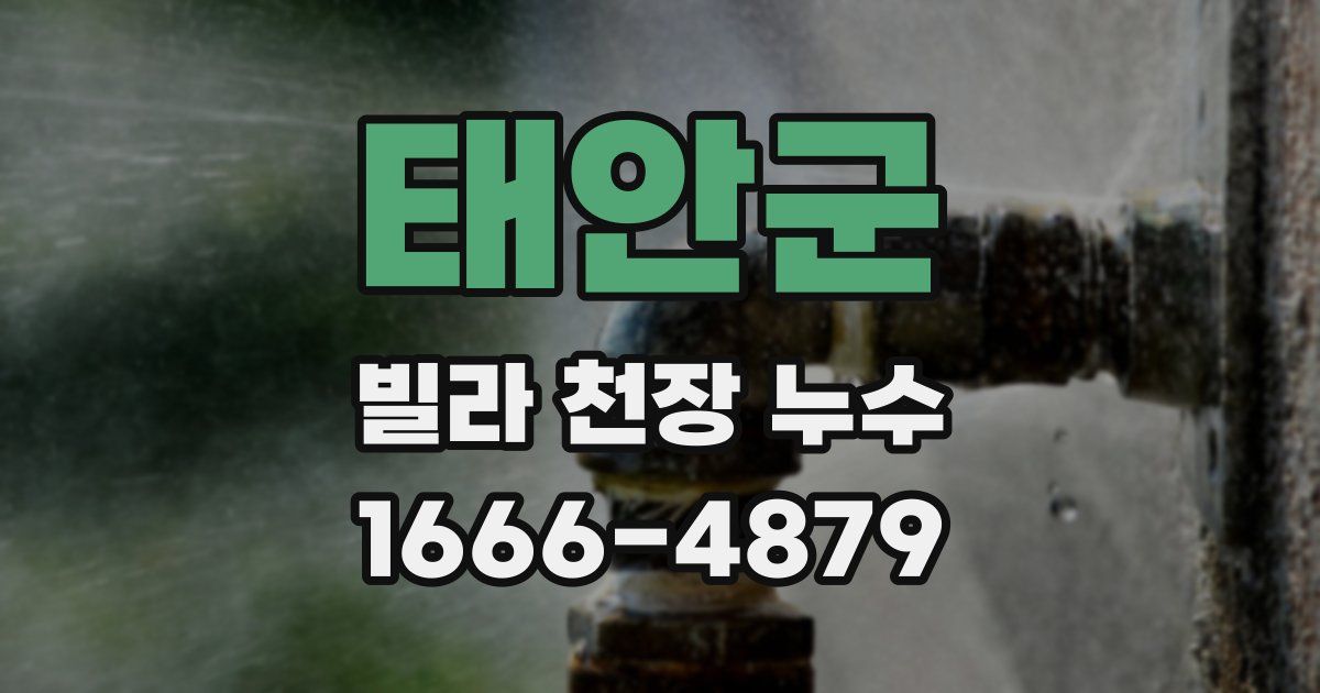 태안군 빌라 천장 누수