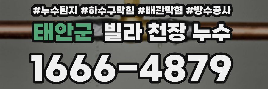 태안군 빌라 천장 누수