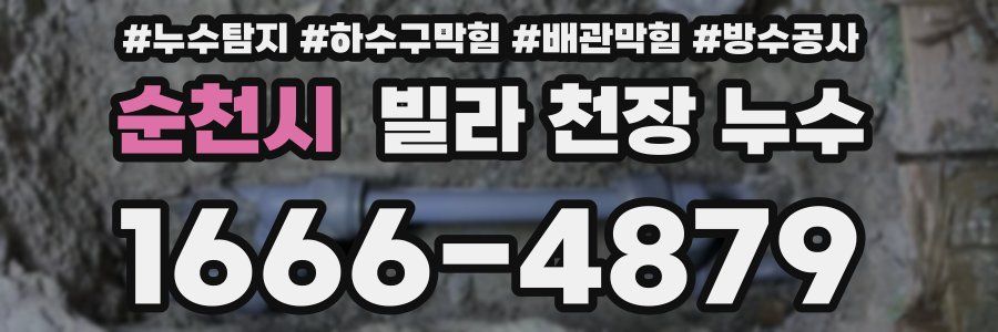 순천시 빌라 천장 누수