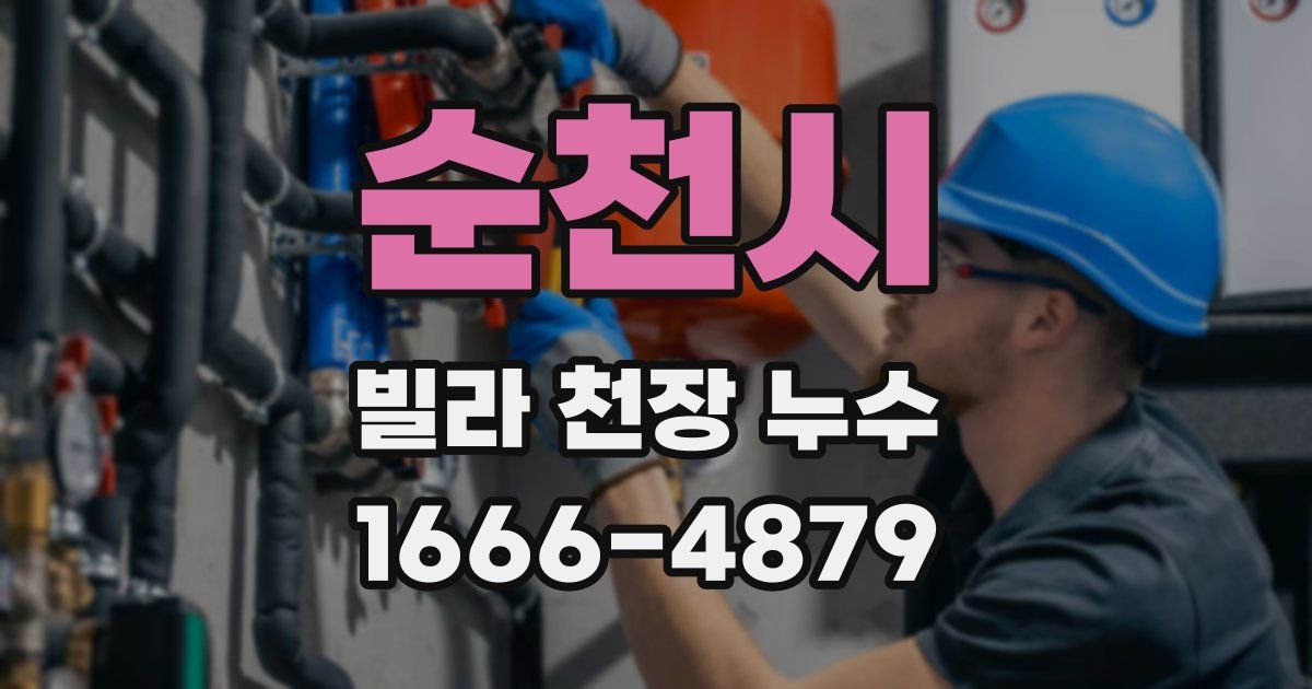 순천시 빌라 천장 누수