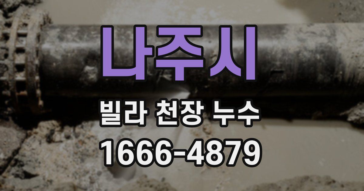 나주시 빌라 천장 누수