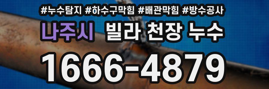 나주시 빌라 천장 누수