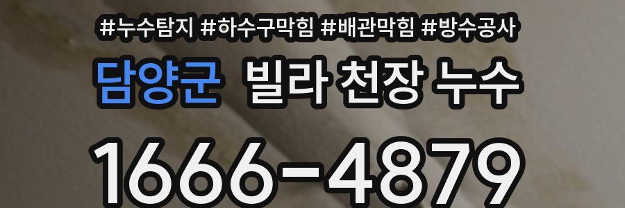 담양군 빌라 천장 누수