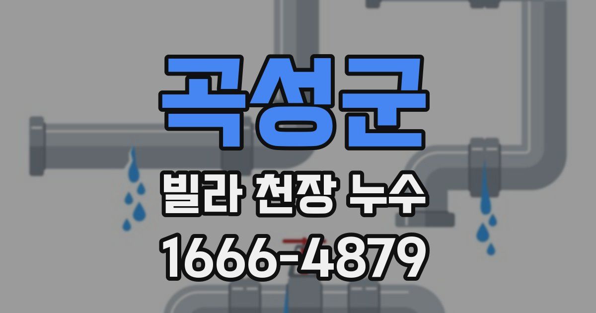 곡성군 빌라 천장 누수