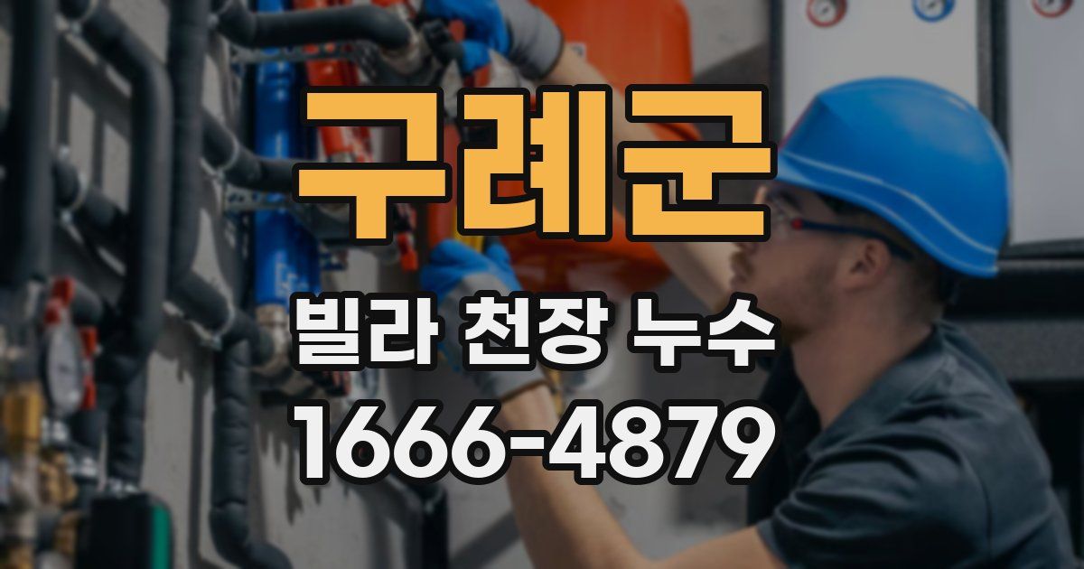구례군 빌라 천장 누수