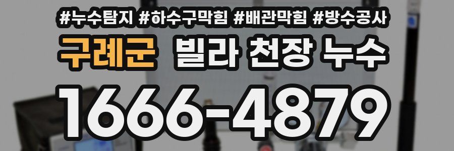 구례군 빌라 천장 누수