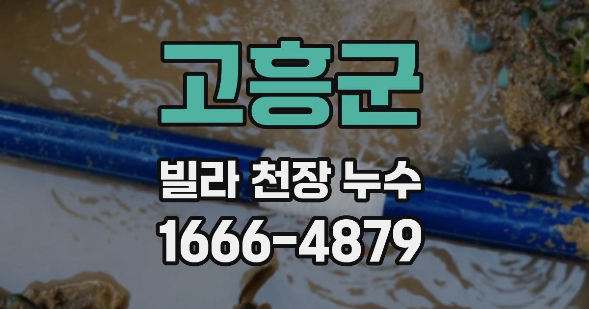 고흥군 빌라 천장 누수