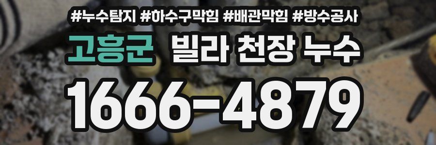 고흥군 빌라 천장 누수